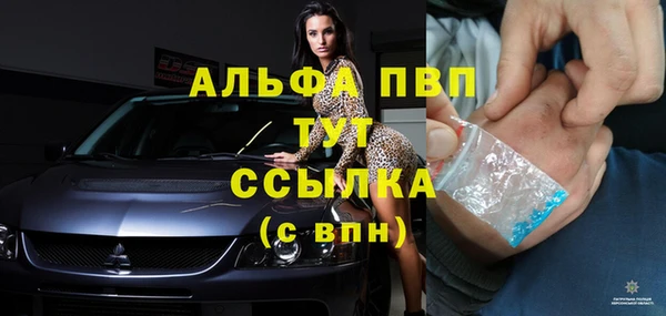2c-b Бородино