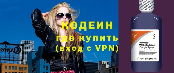 2c-b Бородино