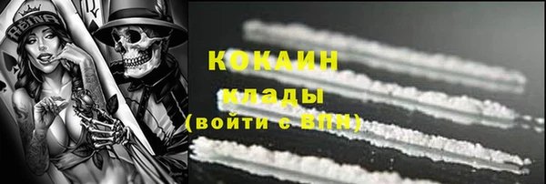 2c-b Бородино