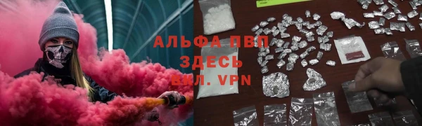 2c-b Бородино