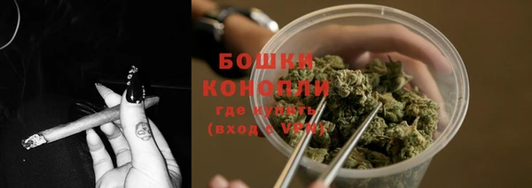 стафф Бронницы