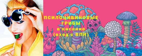 стафф Бронницы